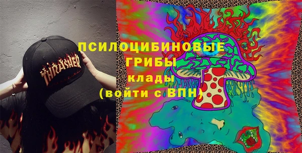 круглые Пересвет