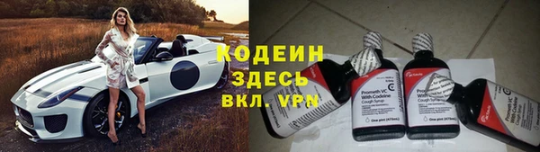 гашик Переславль-Залесский
