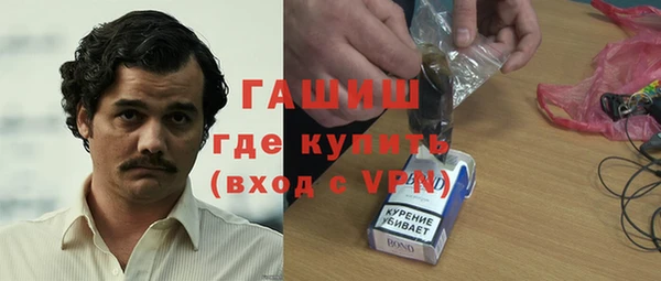 индика Пестово