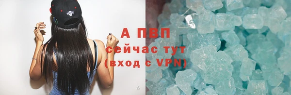 индика Пестово