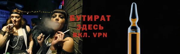 индика Пестово