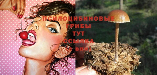 гашик Переславль-Залесский