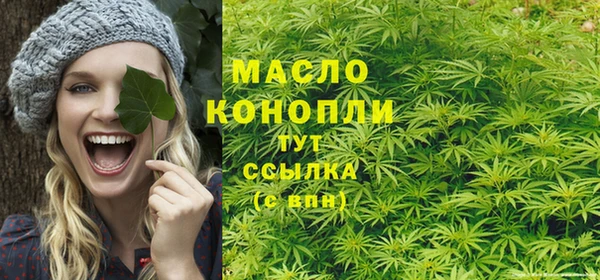 индика Пестово