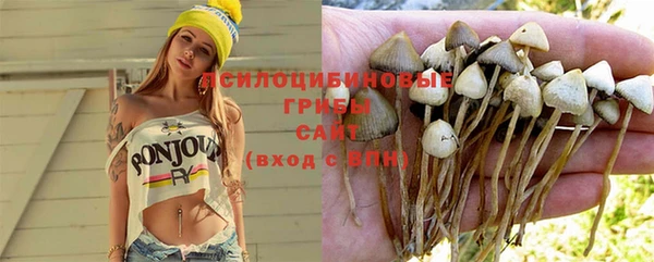 эйфоретик Абинск