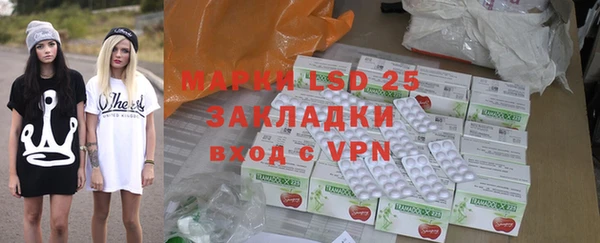 индика Пестово